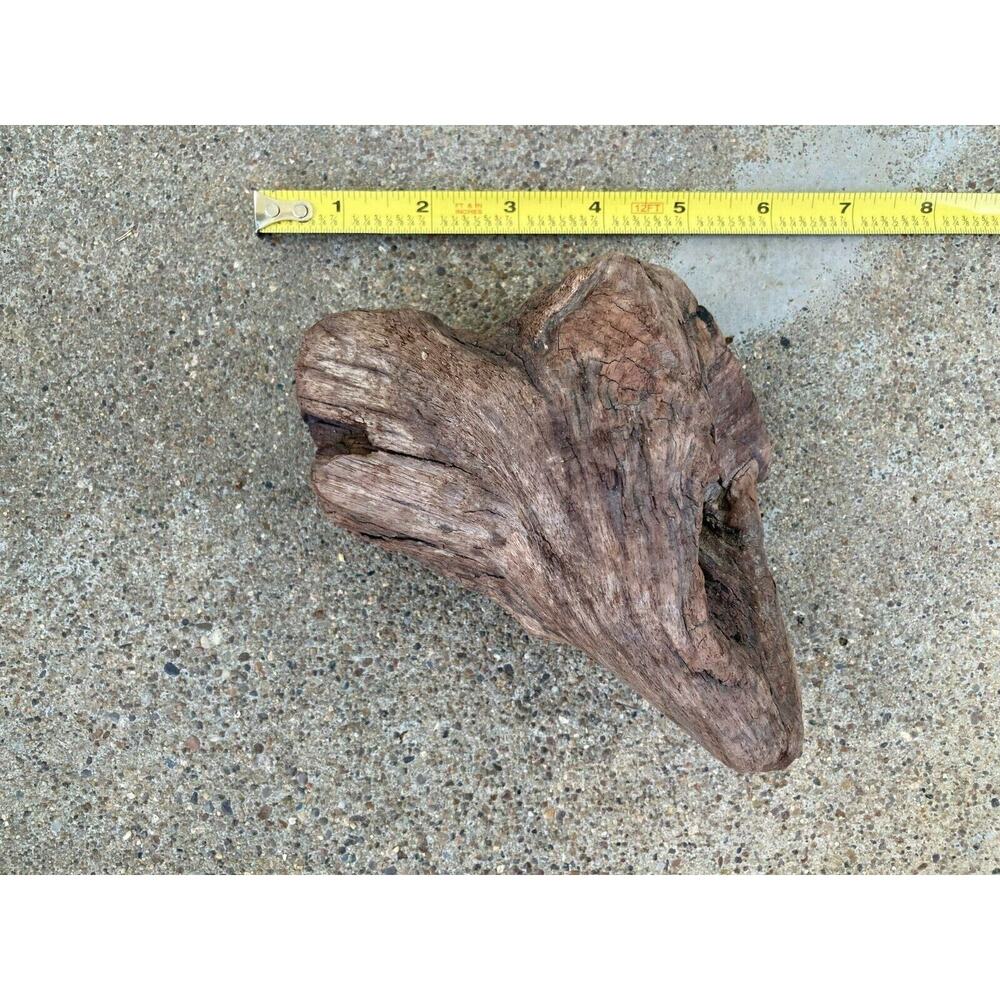 Ohio River Driftwood 6.5"x5"x3"